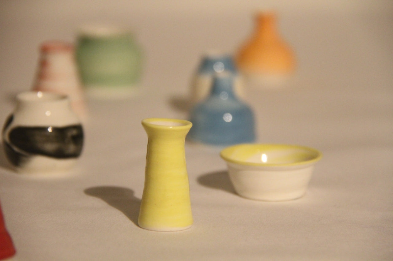 Mini Pots Mystery Box
